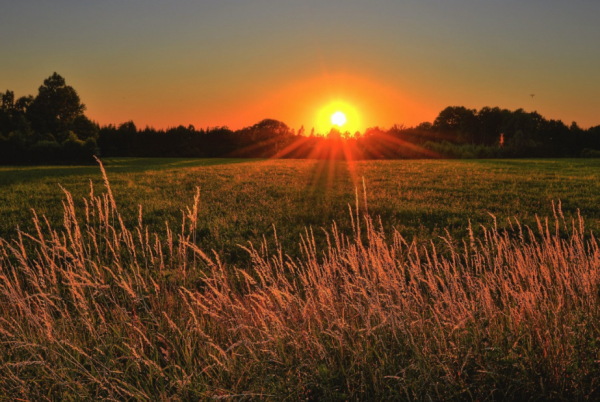 做人的底線，其實就是這4句話