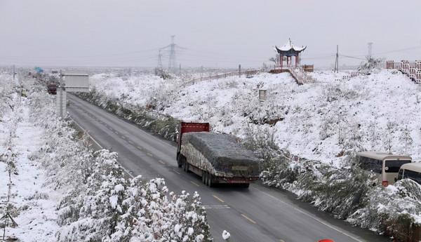 甘肅突遭大雪,拉尼娜板上釘釘,花牛銀裝素裹,農民:不見得壞事 甘肅突遭大雪,拉尼娜板上釘釘,花牛銀裝素裹,農民:不見得壞事