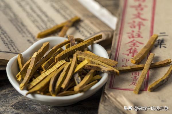 耳鳴、耳聾、眼花？送你八味中藥，一路升清，一路降濁，還補脾氣