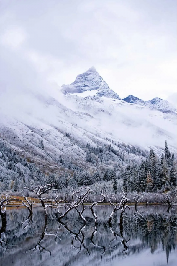 兩天一夜打卡川內新地標!雪山溫泉霧凇一站get,去顏值正巔峰 兩天一夜打卡川內新地標!雪山溫泉霧凇一站get,去顏值正巔峰