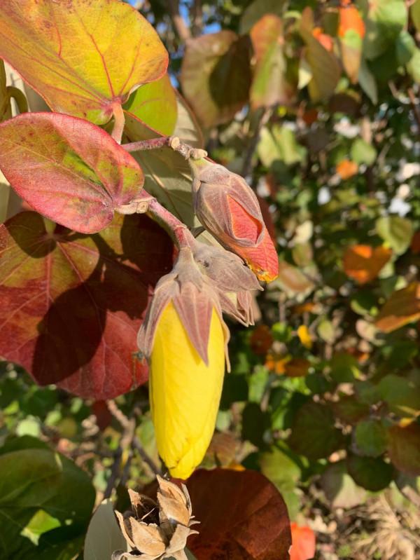 我的第一次～十公里慢跑小記