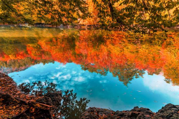 五彩斑斕的風景等你來