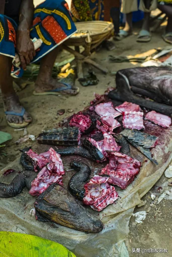 中國小夥逛非洲菜市場的真實感受:食物種類齊全、料理無奇不有 中國小夥逛非洲菜市場的真實感受:食物種類齊全、料理無奇不有