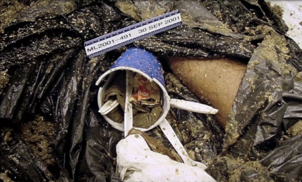 2001年，美國男子釣魚時發現屍體，兇手卻是男扮女裝的億萬富豪