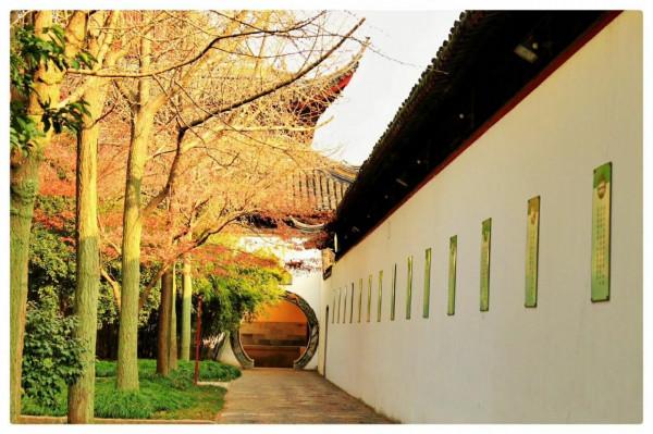 中國唯一主動退出4A景區的寺院，門票降至5元卻依然火爆