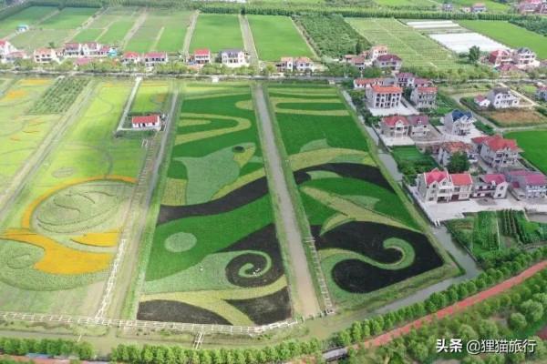 上海市最美的鄉村——橫沙鄉，只能坐船抵達，是中國長壽之島