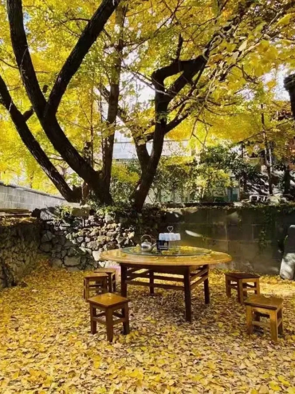 《12月限定丨國內旅行目的地指南》