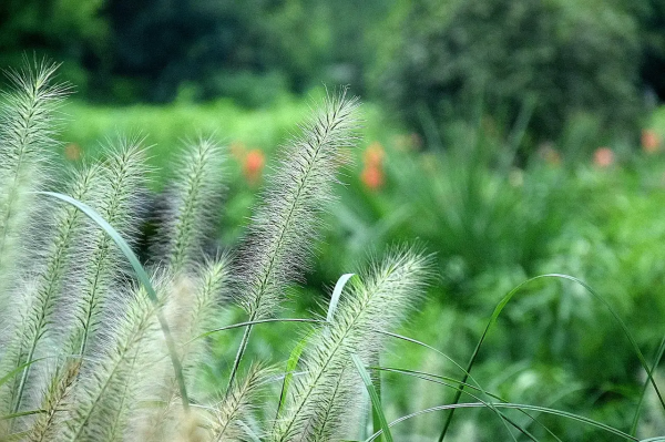 75歲大爺傾訴:給孫子3萬被外孫說太偏心,誰讓他不跟我一個姓的 75歲大爺傾訴:給孫子3萬被外孫說太偏心,誰讓他不跟我一個姓的