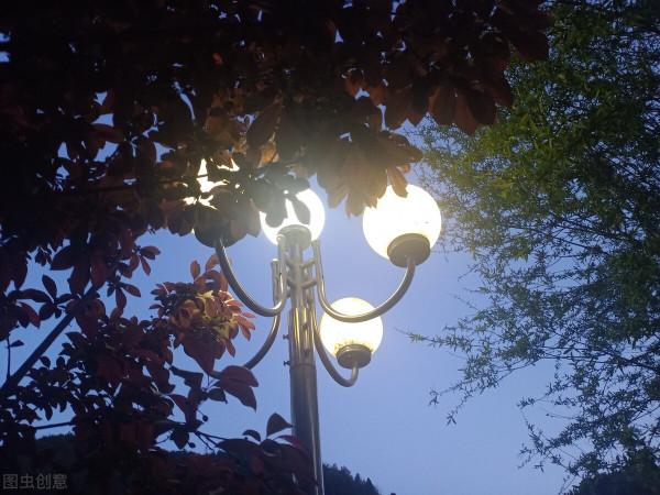 2021年｜十二星座吃了哪些苦