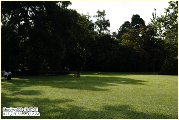 生活雜記:坡島散記08——流連忘返植物園 生活雜記:坡島散記08——流連忘返植物園
