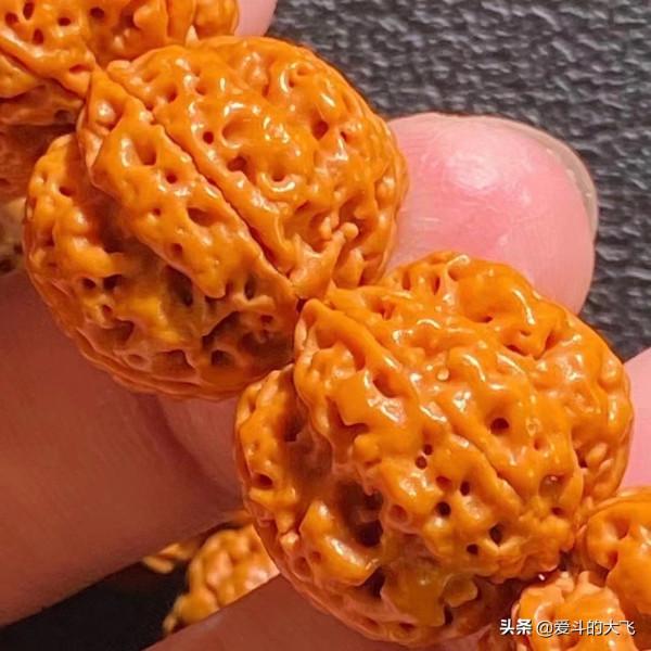 文玩大金剛五星蜂王，真的有那麼貴嗎？這條如何，老玩家請進