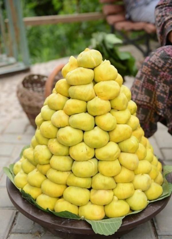 你想要來的新疆2022年是這樣的