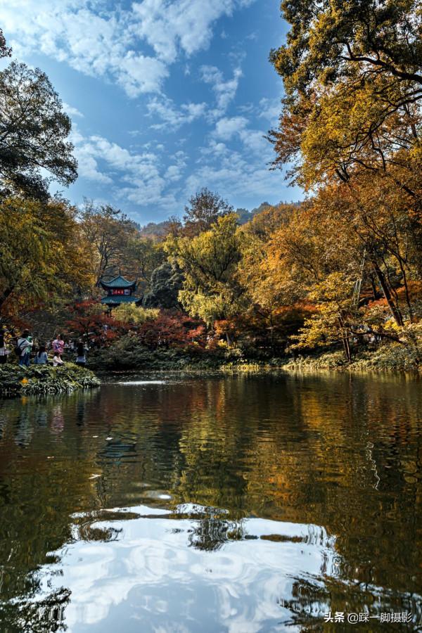 嶽麓賞紅葉 楓林愛晚亭 嶽麓賞紅葉 楓林愛晚亭