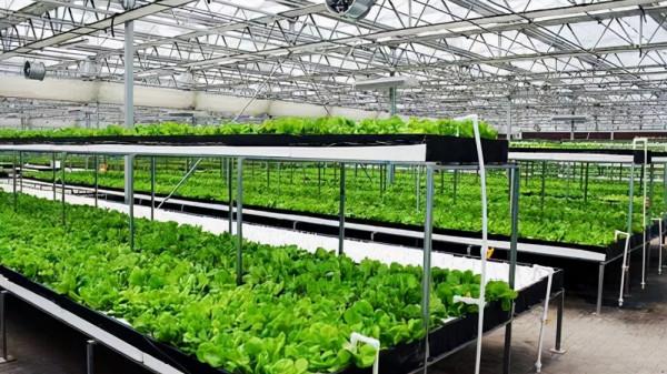 設施園藝智慧化發展趨勢與路徑 設施園藝智慧化發展趨勢與路徑