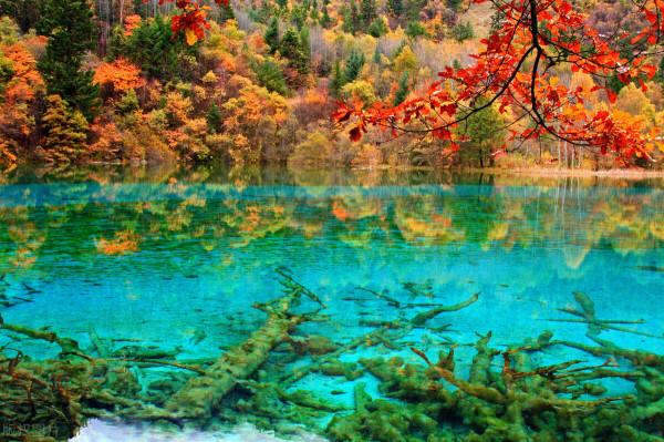 大自然之美——九寨溝秋景