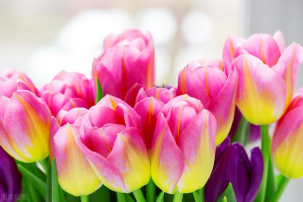 本週運勢（1&period;3-1&period;9）：天蠍座、射手座、巨蟹座