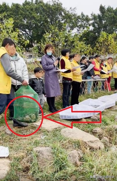 釣魚遇到放生佬：身披“黃馬褂”，對著河面唸叨，網友：違法了