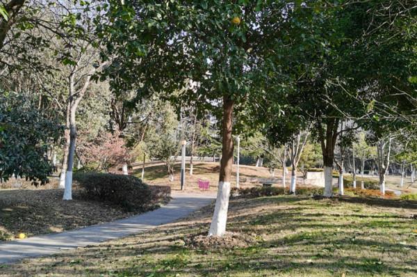 成則為陵,敗則野墳——陳友諒墓、張士誠墓、明孝陵散記 成則為陵,敗則野墳——陳友諒墓、張士誠墓、明孝陵散記