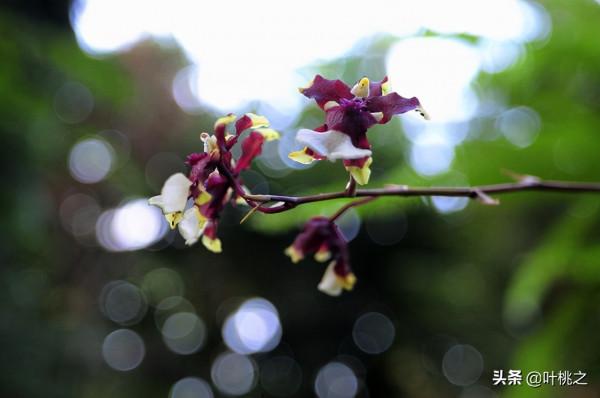 人到中年，別隨便佔“便宜”