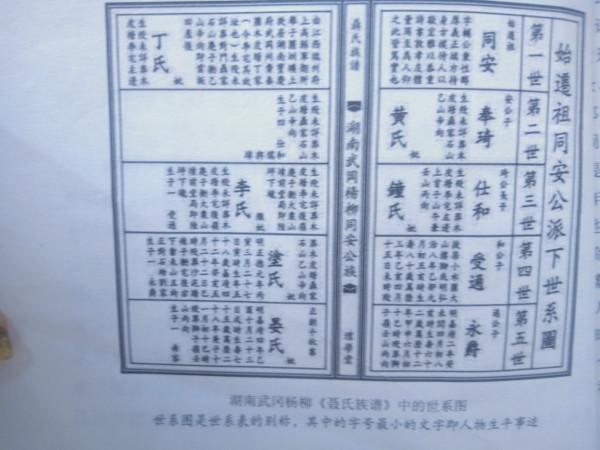 家譜編修之一般家譜的編修方法之與世系相關內容的編修(二) 家譜編修之一般家譜的編修方法之與世系相關內容的編修(二)