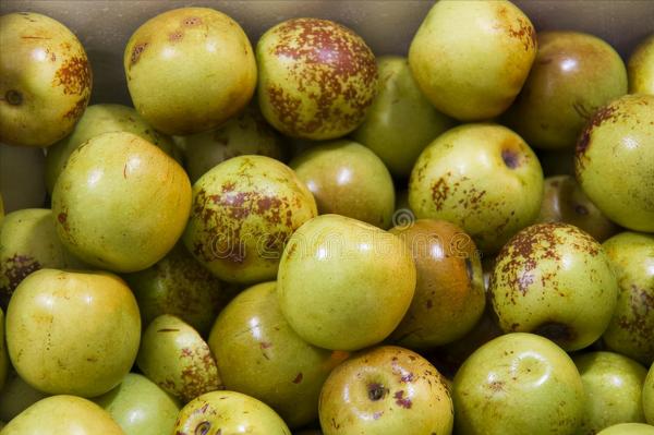 中秋節送禮有講究,水果牢記“5送2不送”,老傳統帶來好寓意 中秋節送禮有講究,水果牢記“5送2不送”,老傳統帶來好寓意