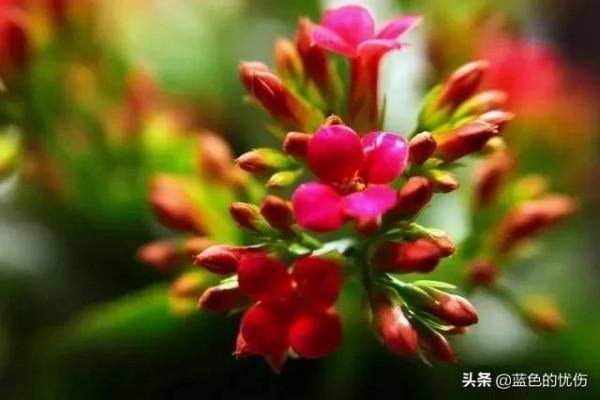 人老了，有幾件事做不得，做了沒有不後悔的