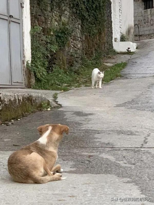 昔日兄弟“阿爾巴尼亞”現狀，帶你看看真實的阿爾巴尼亞