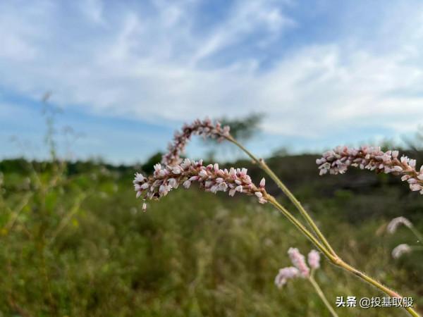 iPhone 13 mini你想知道的拍照、續航、訊號都在這裡 iPhone 13 mini你想知道的拍照、續航、訊號都在這裡