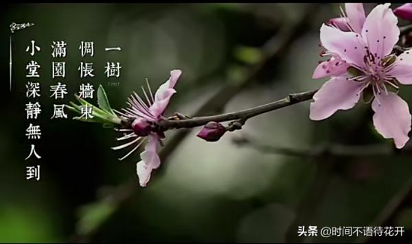 最美二十四節氣，孩子必須瞭解的傳統文化，語文知識不斷層