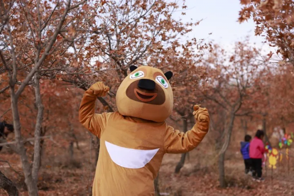 簡直不要太嗨~訾大莊楓葉林，我們明年再約