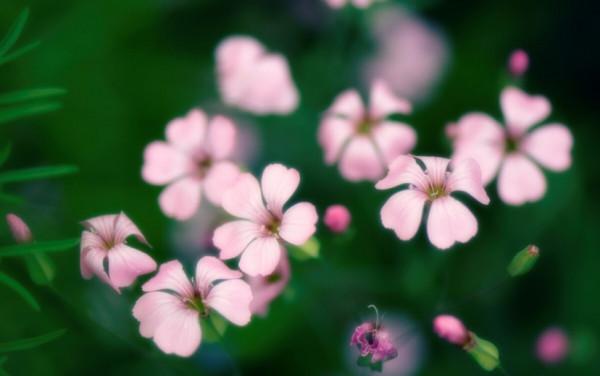 關係再好,也要注意“分寸”,一不小心就會得罪人 關係再好,也要注意“分寸”,一不小心就會得罪人