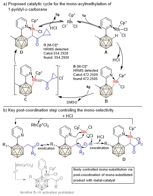 南京大學燕紅課題組實現碳硼烷硼氫鍵的選擇性單烷基化及相...