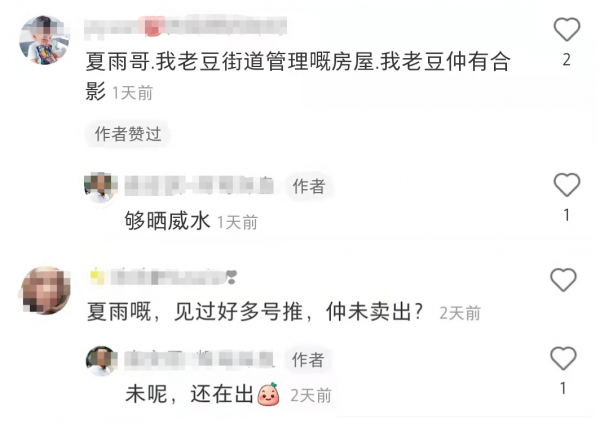 夏雨528萬出售別墅，房產經紀公開內景，裝修豪華但被指私密性差