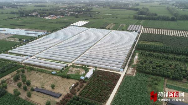 高新區馬嶺崗鎮:建立農村黨建示範片區,匯聚鄉村振興強大合力 高新區馬嶺崗鎮:建立農村黨建示範片區,匯聚鄉村振興強大合力