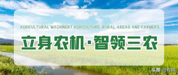 北疆棉花陸續開採，你知道今年的機採價格是多少嗎？