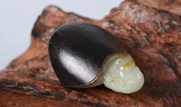 800多萬成交！這種“黑美人”絕對值得你收藏