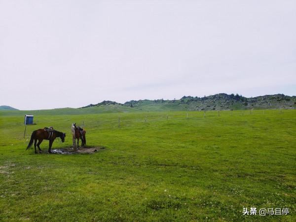 新疆每年僅開放半年的公路，短暫而又驚豔，沿途500公里皆是美景