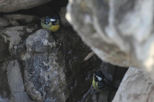 新年伊始，永珍更新，您好2022