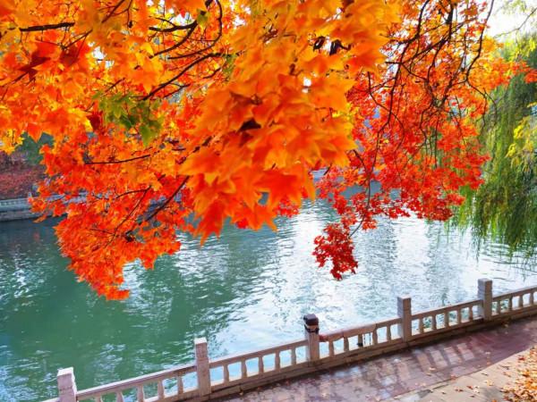 北京玉淵潭公園：如詩如畫的秋日美景