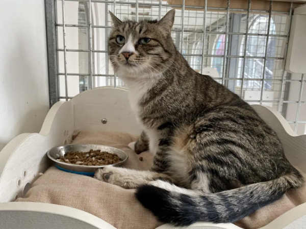 小廢貓要鹹魚翻身了咩? 小廢貓要鹹魚翻身了咩?