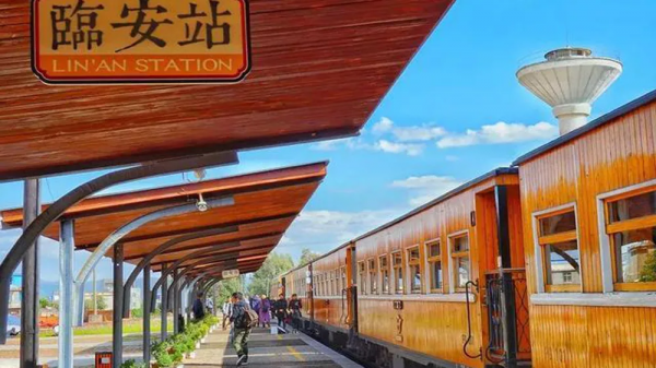 曾破吉尼斯世界紀錄！80萬畝花海齊綻放！這裡藏著國內最早的春天