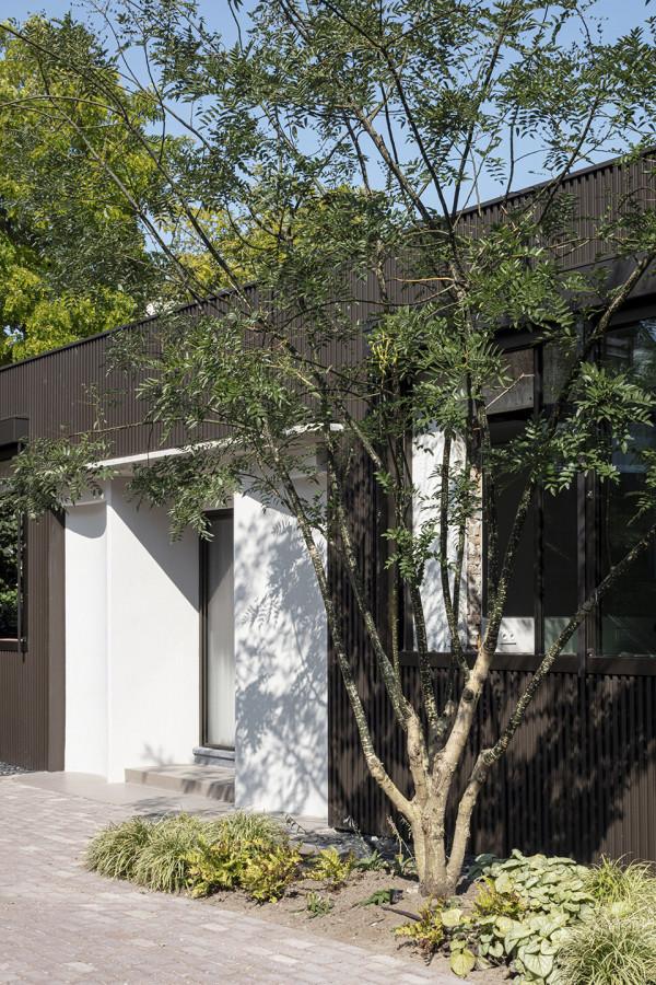 破舊的體育大樓改造成私人住宅:新與舊的碰撞 破舊的體育大樓改造成私人住宅:新與舊的碰撞