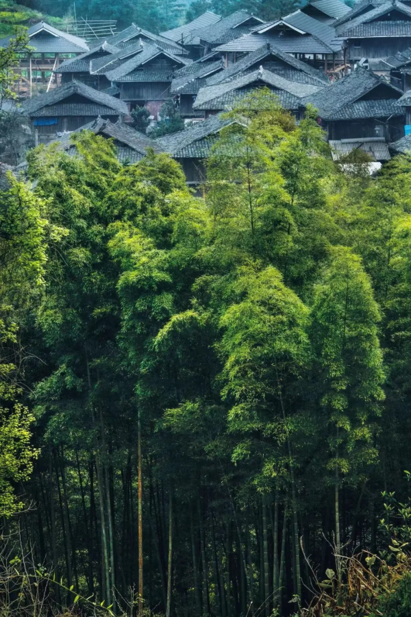 霸佔700項非遺，溫泉當水喝，連聯合國都來朝聖！力薦