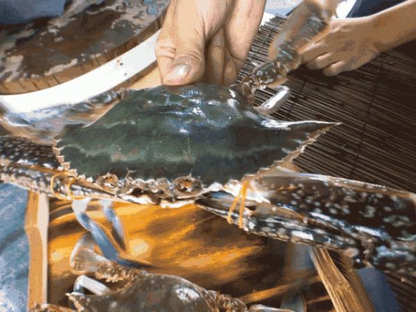 最近做夢都夢到吃海鮮，馬上跑到寧波吃個痛快