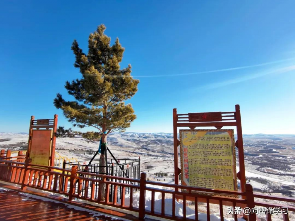 “雛鷹”入列，戍守北疆邊防！