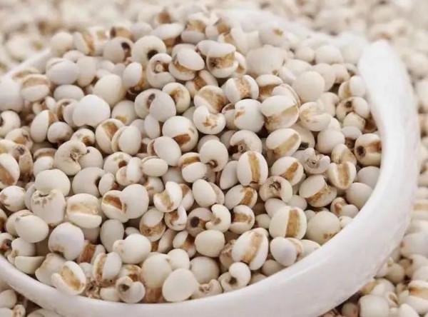 國醫大師路誌正:祛除溼濁經驗二十三則 國醫大師路誌正:祛除溼濁經驗二十三則