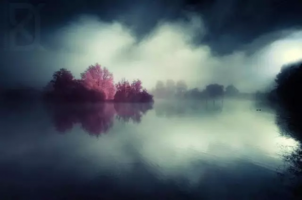 品,秋的味道 品,秋的味道