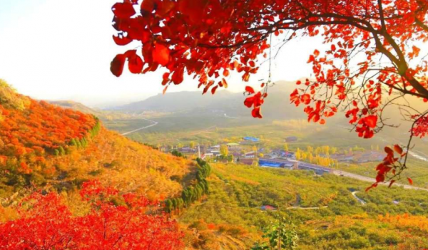 古詩山行的詩意,十二首有關山行的詩詞,欣賞山中美麗的秋色 古詩山行的詩意,十二首有關山行的詩詞,欣賞山中美麗的秋色