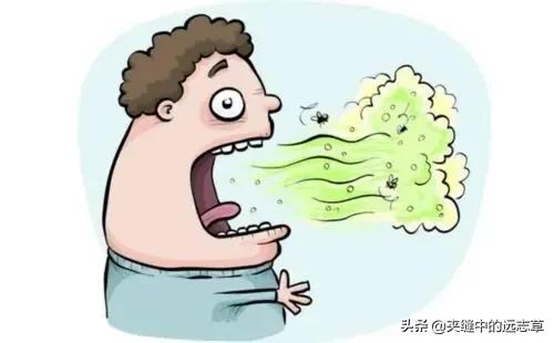 反覆上火、口氣重？送你五味中藥，清熱瀉火，攻補兼施