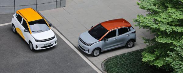 2021年度盤點|大街小巷任穿梭，“代步神器”當屬微型車